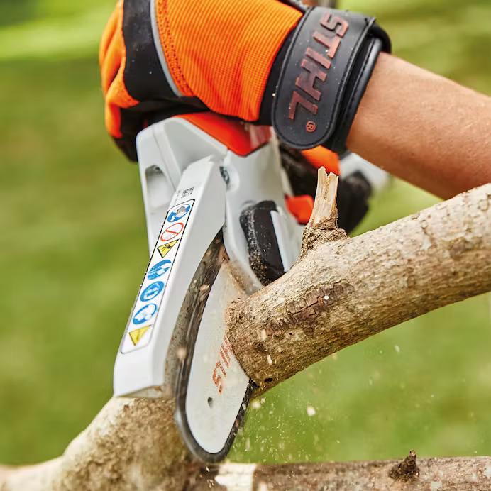 Garden Chainsaw Cutting Tree Limb